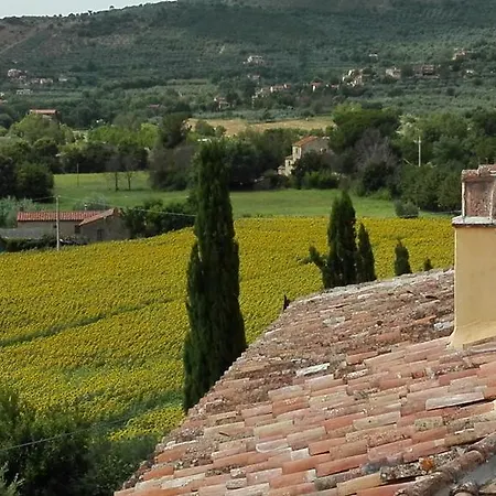 I Colori Del Sodo Daire